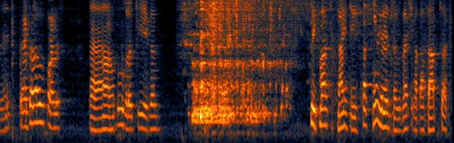 Speech & Audio